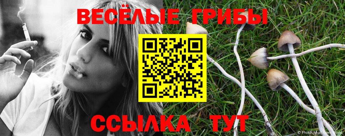 Нефтекамск  Псилоцибиновые грибы MAGIC MUSHROOMS  Вход с VPN 